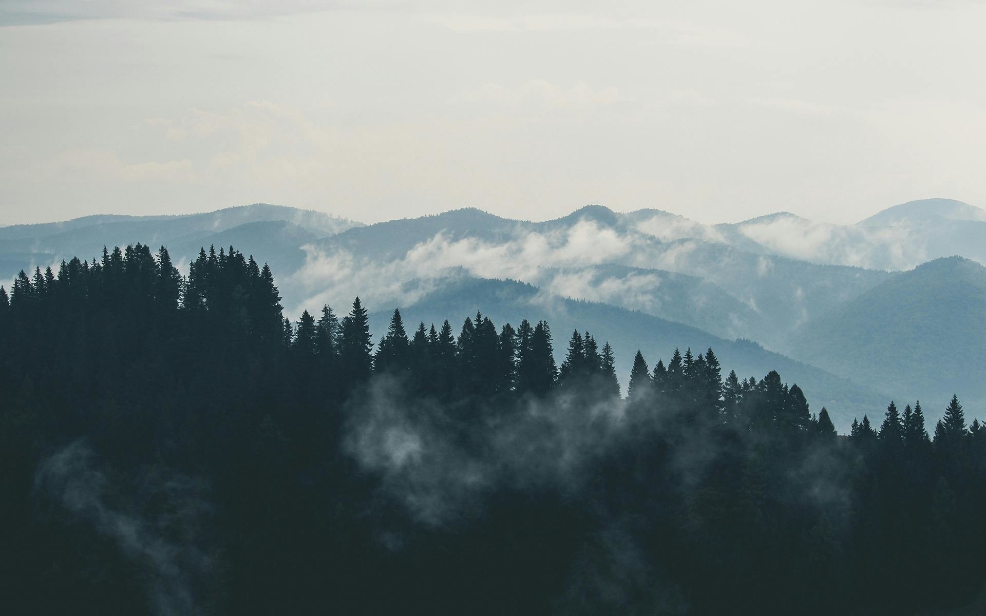 Izlozbeno-okno/pexels-creative-vix-9754_1